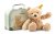 STEIFF Jimmy Teddy Bear with Suitcase