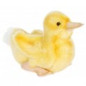 HANSA Duck Chick Swimming