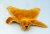 Bear Rug Yellow Gold