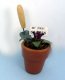 Garden Pot