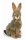 HANSA Blacktail Jack Rabbit