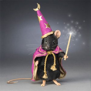 R.John Wright Black Magic Mouse