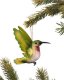 R. John Wright Hummingbird Ruby*