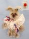 McKay Rabbit Ruffles