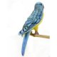 Hansa Budgie Blue Yellow Parakeet